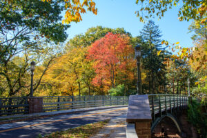 Fall Foliage, Connecticut