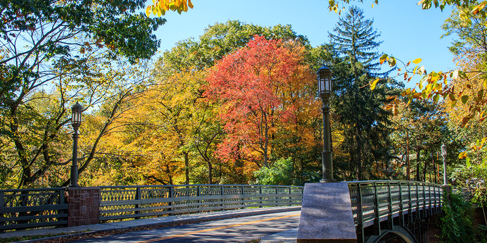 Fall Foliage, Connecticut